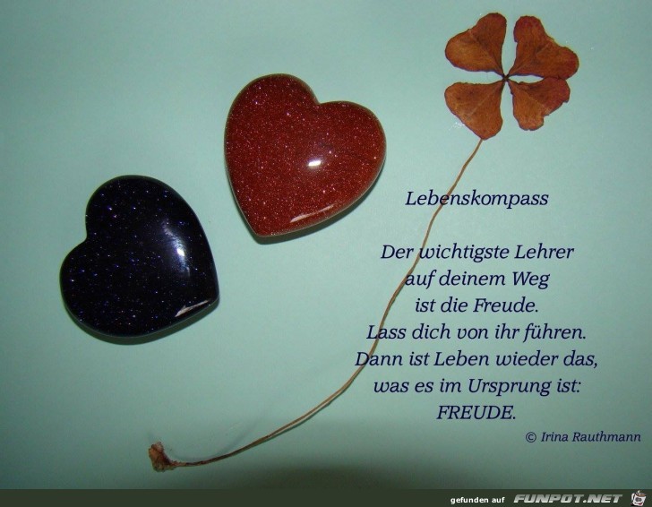 lebenskompass lebenskompass