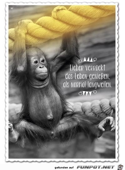 lieber verrueckt lieber verrueckt
