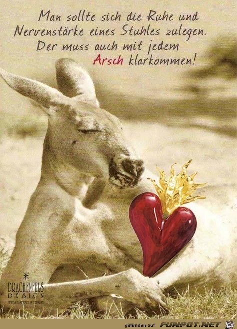 man sollte sich die Ruhe und nervenstaerke man sollte sich die Ruhe und nervenstaerke
