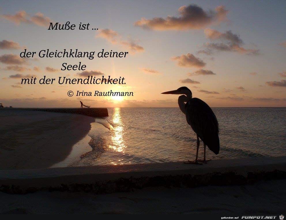 musse ist musse ist