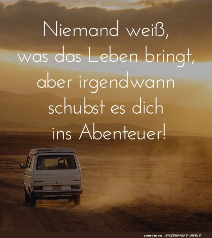 10 sch�ne Spr�che und Lebensweisheiten aus...
