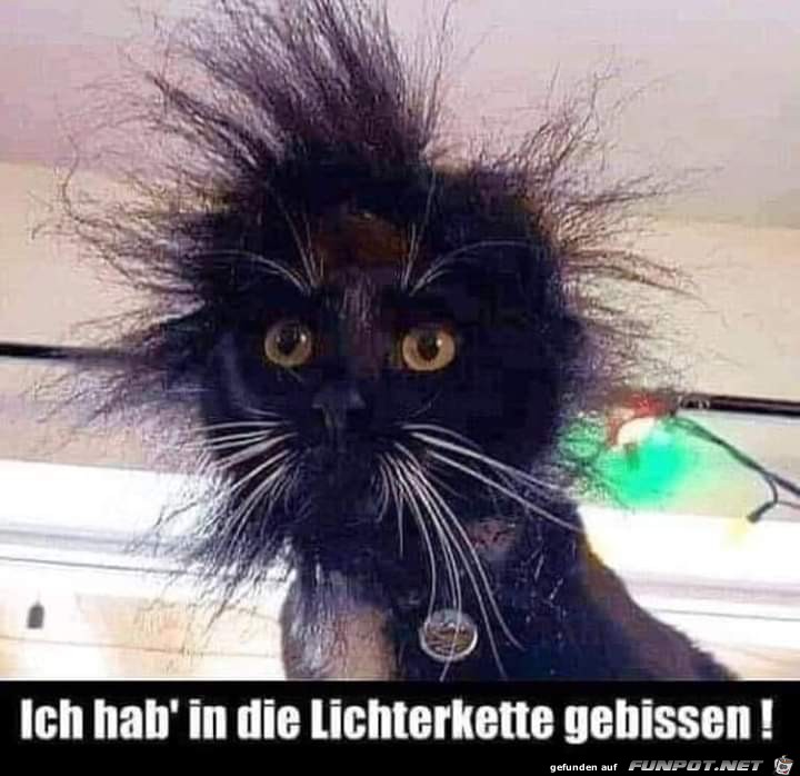 Ich hab in die Ich hab in die