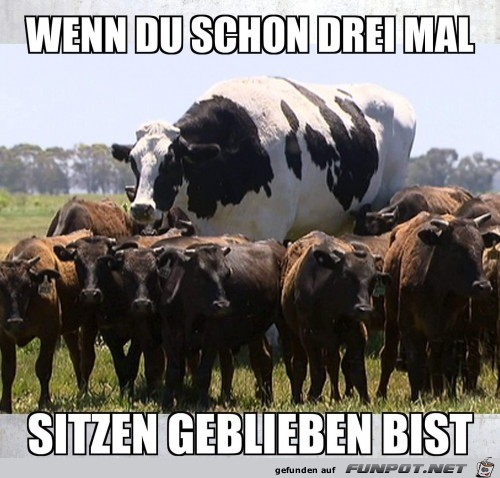 schon drei mal sitzen geblieben schon drei mal sitzen geblieben