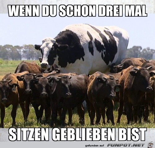 schon drei mal sitzen geblieben