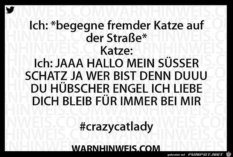 Katzenlady Katzenlady