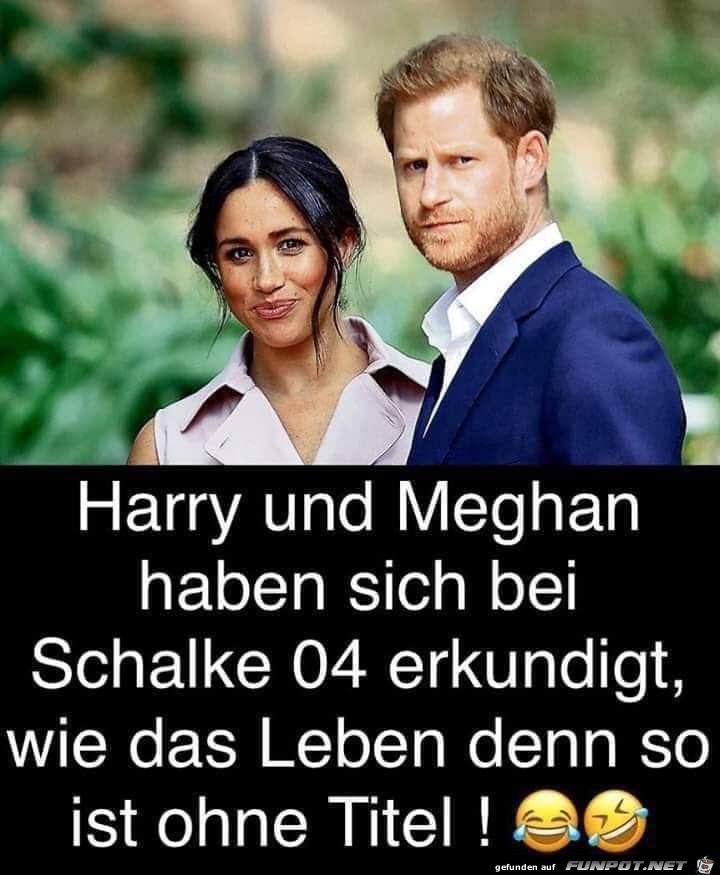 Ohne Titel Ohne Titel
