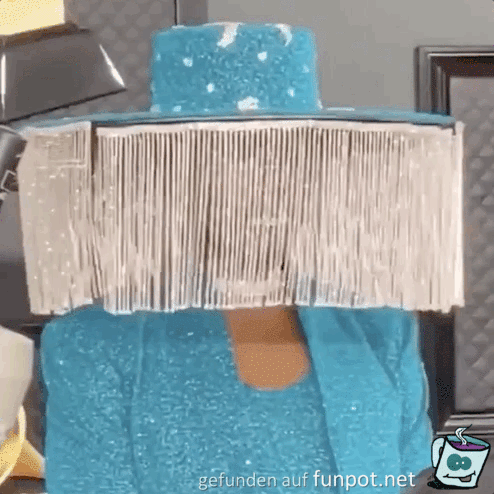 Hut mit Vorhang Hut mit Vorhang
