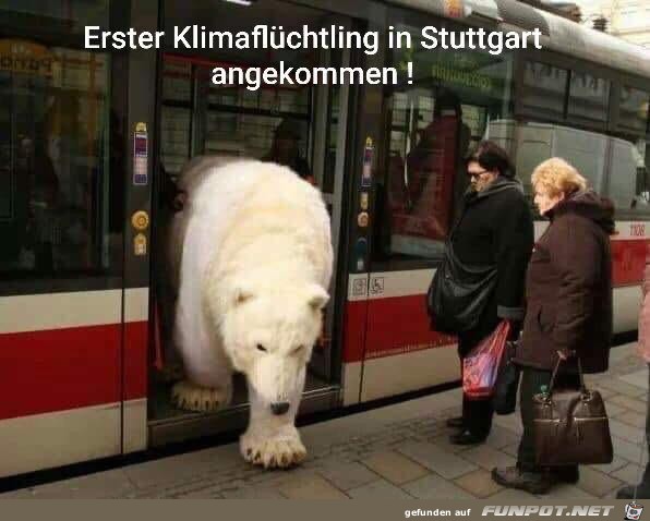 erster Klimaflüchtling in Stuttgart angekommen erster Klimaflüchtling in Stuttgart angekommen