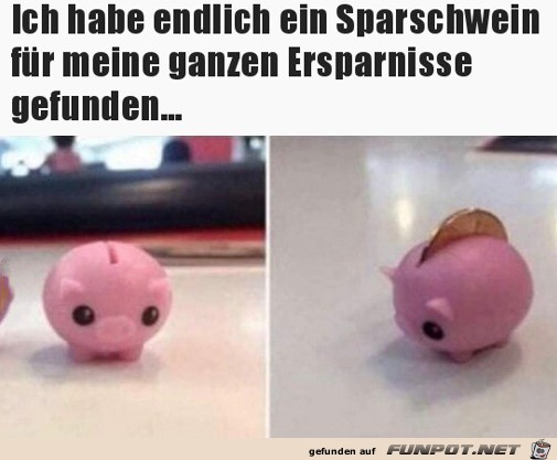 Ich habe endlich ein Sparschwein gefunden