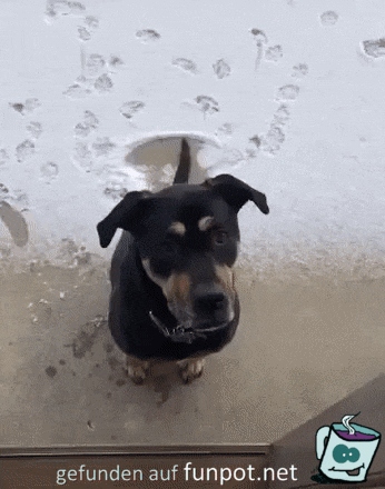 Schnee weggewedelt Schnee weggewedelt