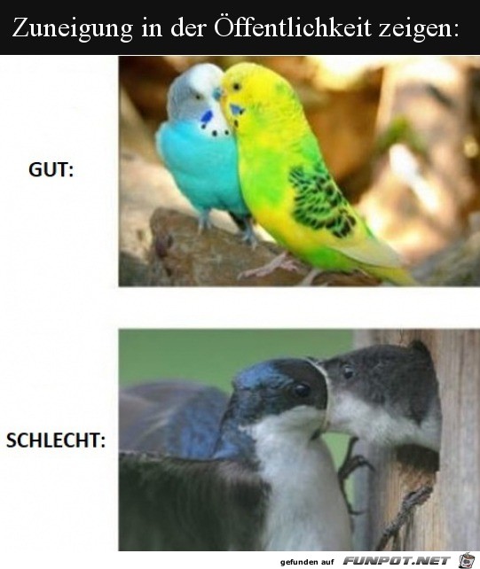Zuneigung in der Öffentlichkeit zeigen Zuneigung in der Öffentlichkeit zeigen