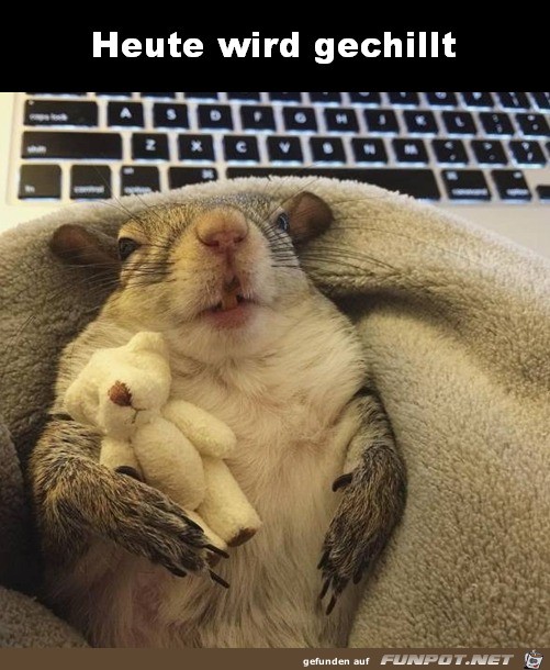 Heute wird gechillt Heute wird gechillt