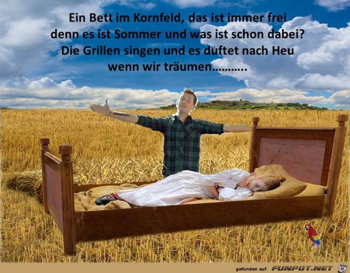 Ein Bett Im Kornfeld