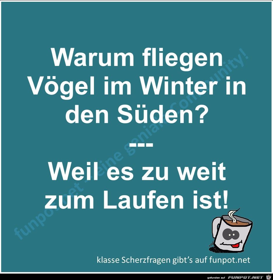 Scherzfrage Scherzfrage