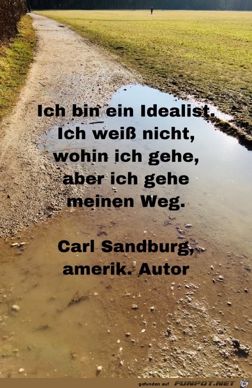 ich bin ein Idealist