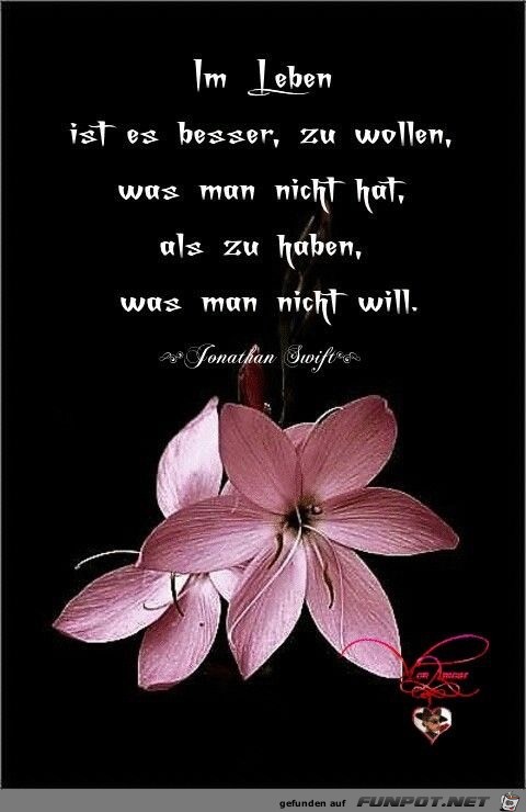 im Leben ist es besser