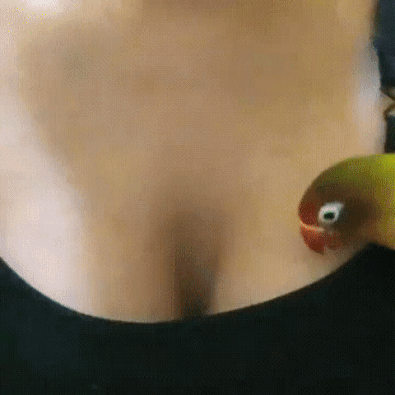 Hier ist schön warm Hier ist schön warm