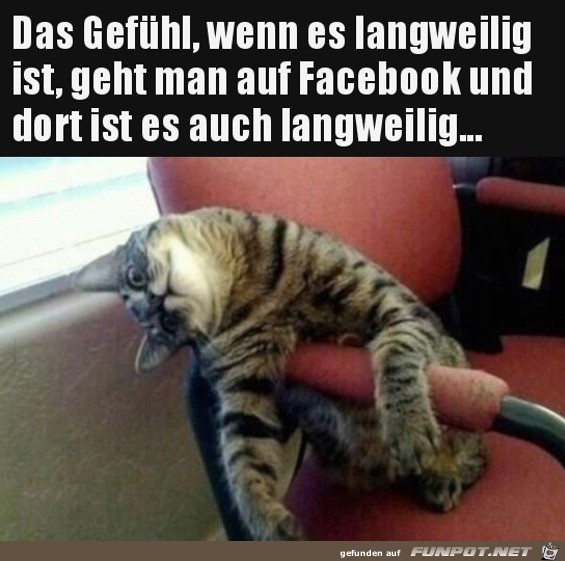 Alles ist langweilig Alles ist langweilig
