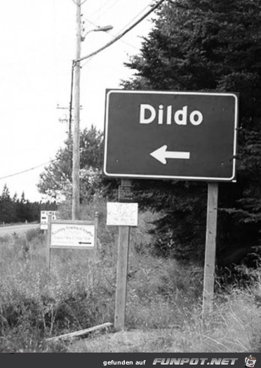 dildo