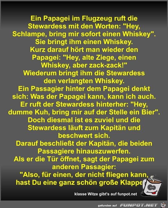 Ein Papagei im Flugzeug ruft die Stewardess mit den Worten Ein Papagei im Flugzeug ruft die Stewardess mit den Worten