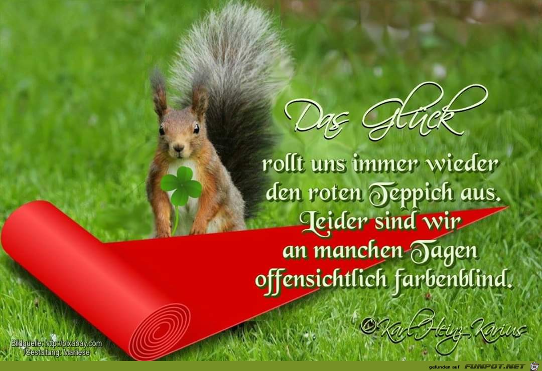 das glueck rollt