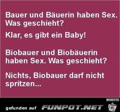 Bauer Bauer
