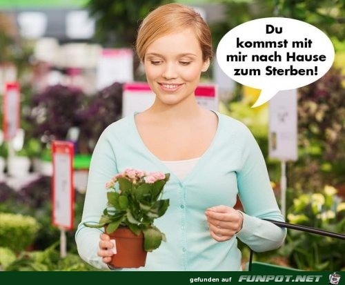 Du kommst mit mir nach Hause Du kommst mit mir nach Hause