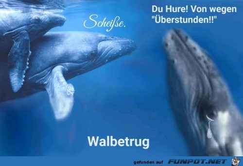 Das ist Wahlbetrug Das ist Wahlbetrug