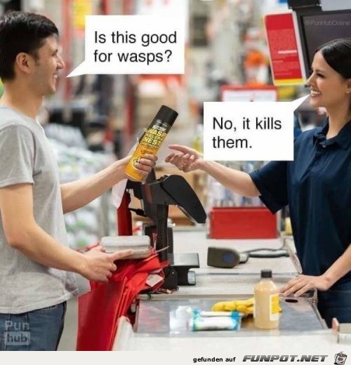 Ist das gut für Wespen? Ist das gut für Wespen?
