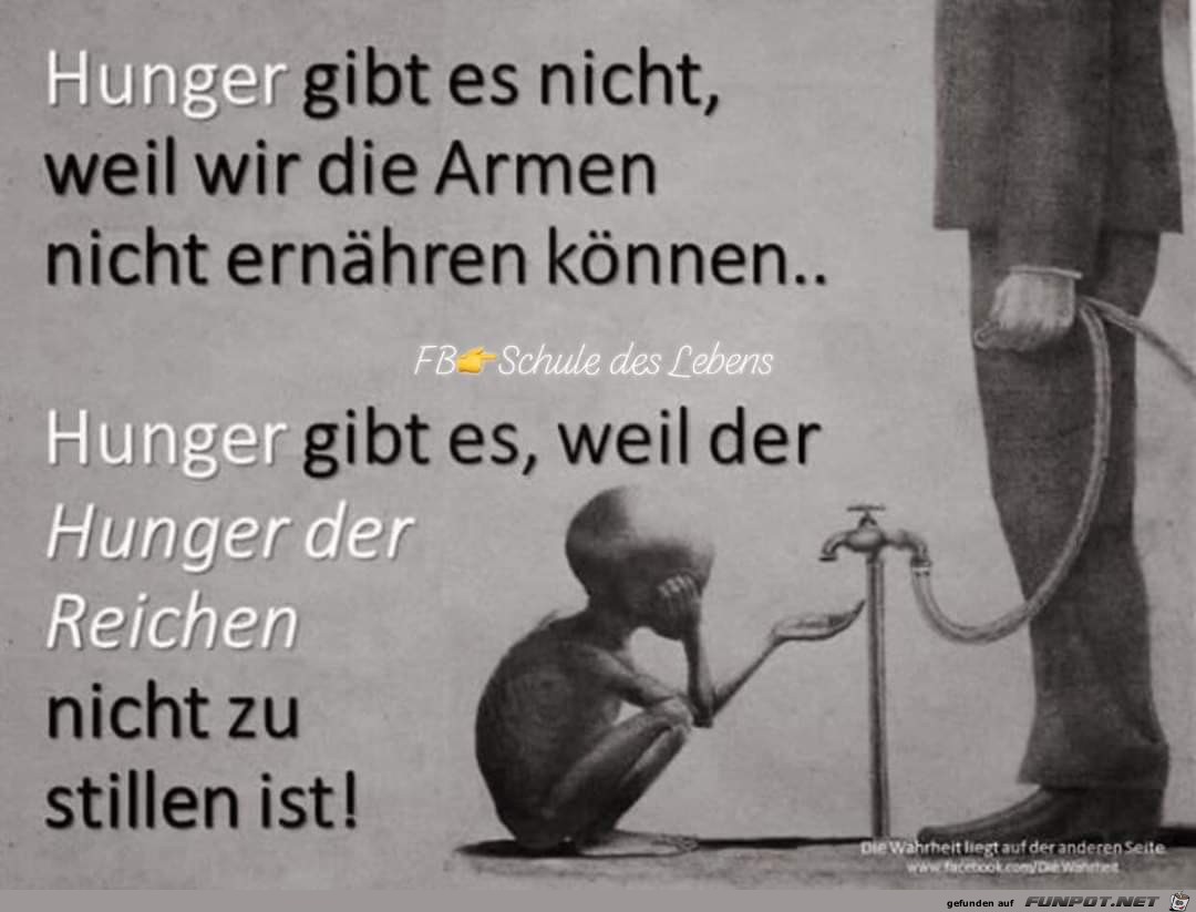 Hunger Hunger