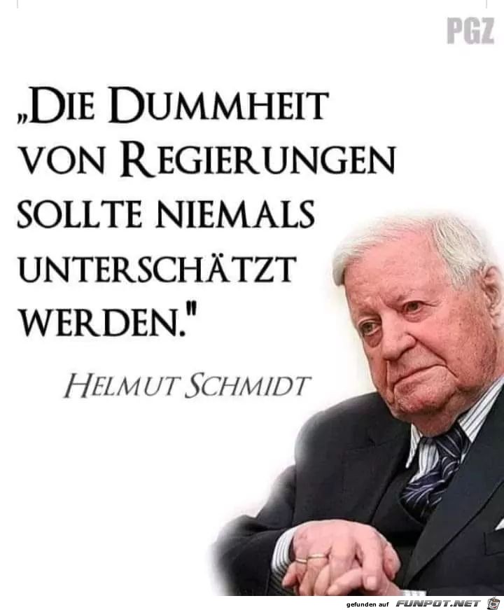 die Dummheit die Dummheit