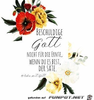 beschuldige Gott nicht beschuldige Gott nicht