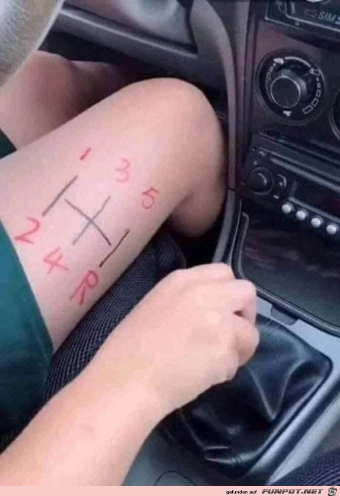 Autofahrerin Autofahrerin