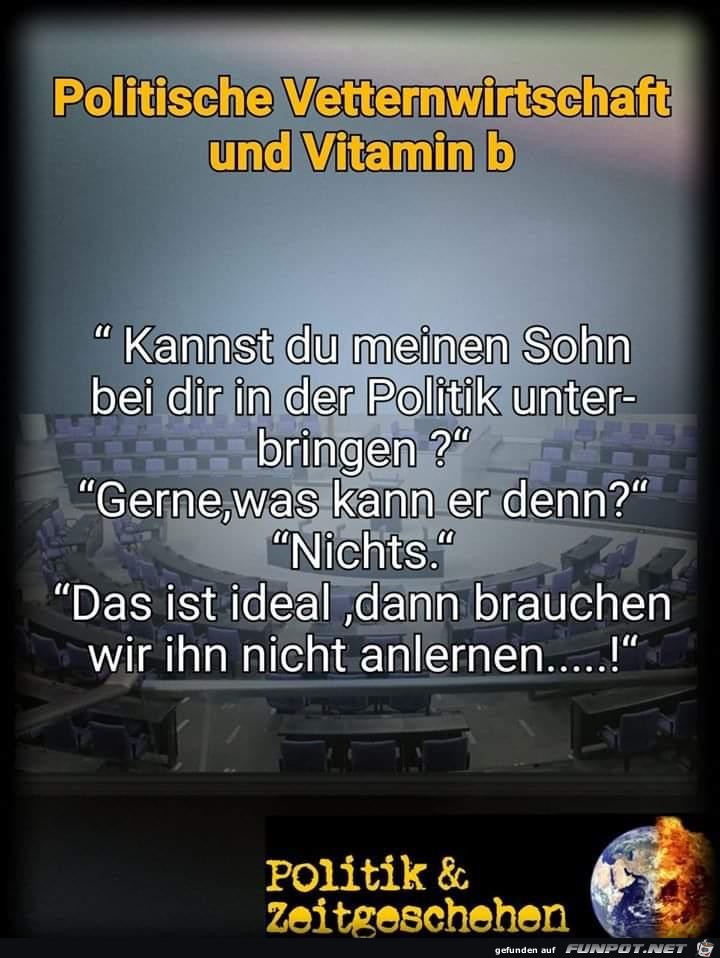 politische vetternwirtschaft politische vetternwirtschaft