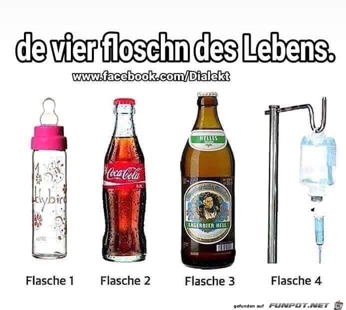 die vier floschn