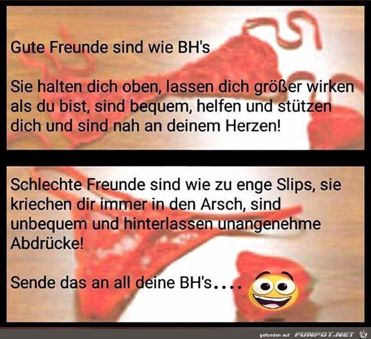 gute Freunde sind wie BHs