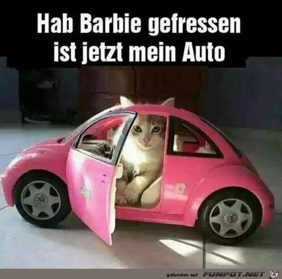 hab barbie gefressen