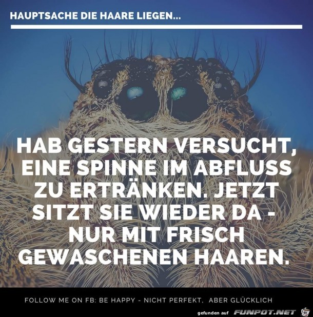 habe gestern versucht habe gestern versucht
