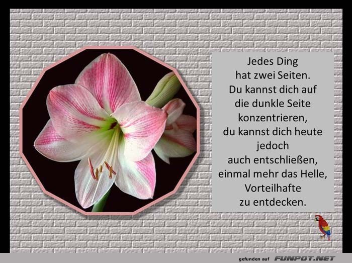 Jedes Ding hat Jedes Ding hat