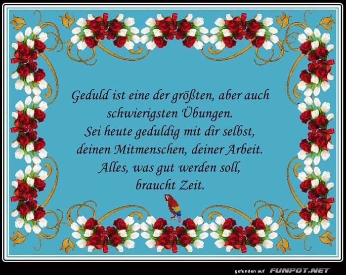 Geduld ist gross Geduld ist gross