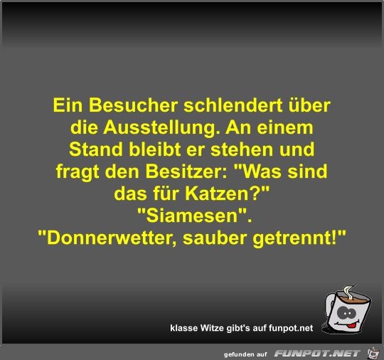 Ein Besucher schlendert über die Ausstellung Ein Besucher schlendert über die Ausstellung