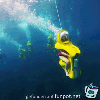Lustige Gefhrte unter Wasser