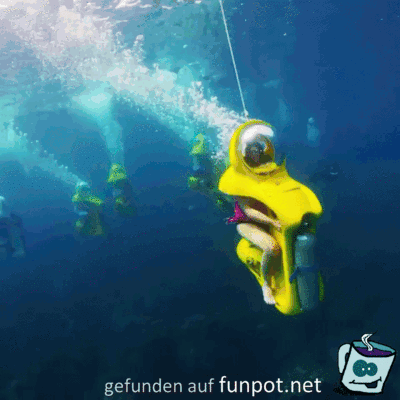 Lustige Gefährte unter Wasser Lustige Gefährte unter Wasser