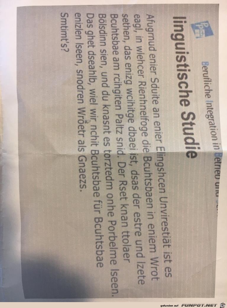 Bloedsinn Bloedsinn