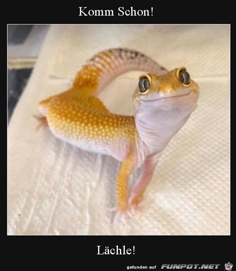 Lächle Lächle