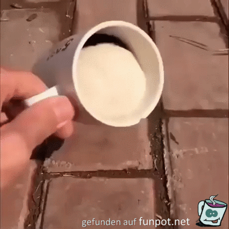 Wer versteckt sich in der Tasse? Wer versteckt sich in der Tasse?