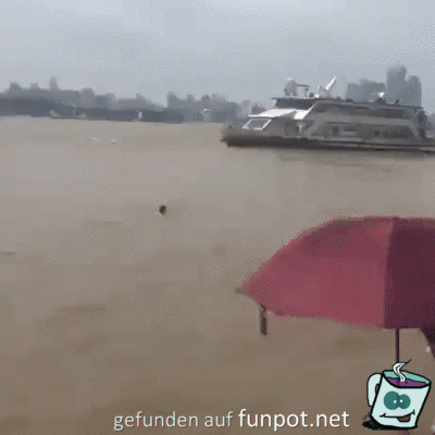 Der Hund ist schneller Der Hund ist schneller