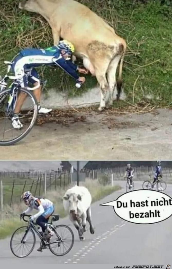 nicht bezahlt nicht bezahlt