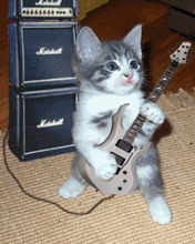 music-cat3 music-cat3