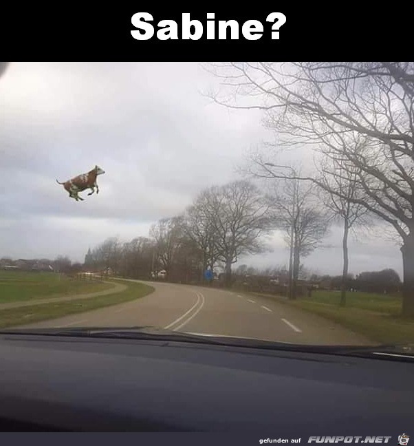 Achtung Sabine von links